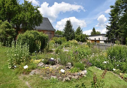 Heilkräutergarten