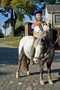Pony für die Kinder
