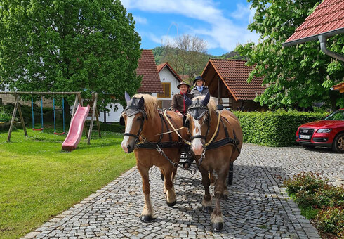 Kutschfahrt mit unseren Pferden
