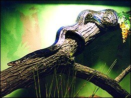 Exotarium Oberhof