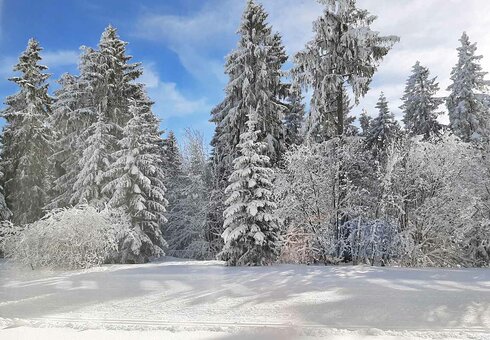 Oberhof im Winter