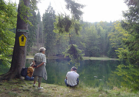 Kleiner Waldsee in der Umgebung