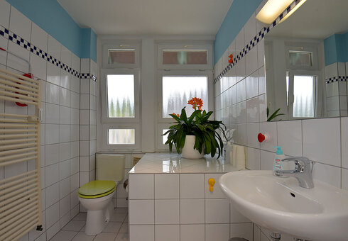 Ferienwohnung 4 (Bad)