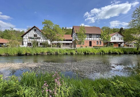 Hotel Der Distelhof, Dillstädt