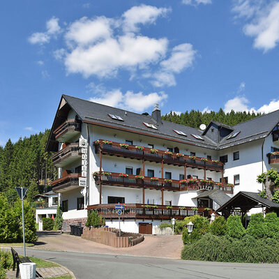 Hotel Thüringer Wald, Manebach