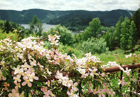 Blick zum Hohenwarte-Stausee