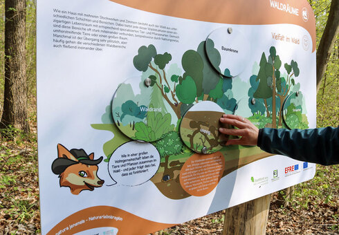 WaldPfad Schlauer Ux:
