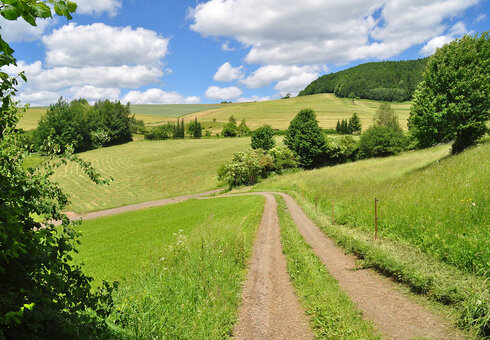 Landschaft unweit vom Ferienhaus