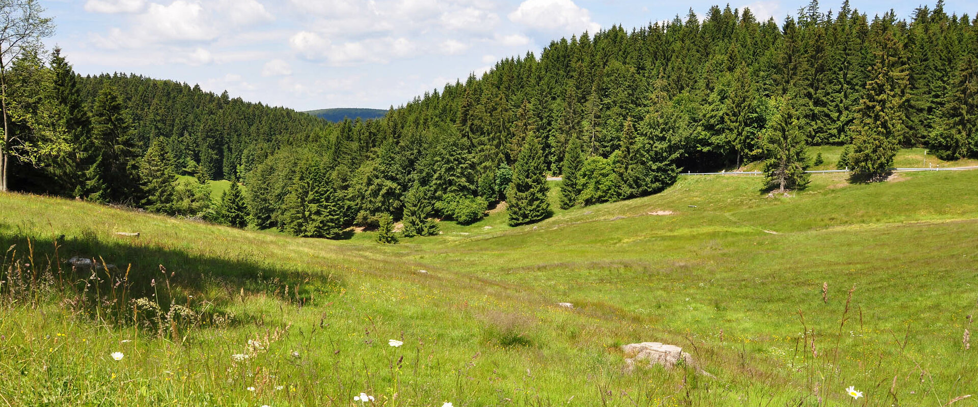 Steinbach-Langenbach