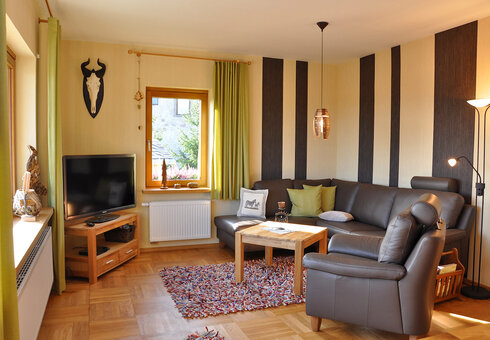 Wohnzimmer mit Couch und TV