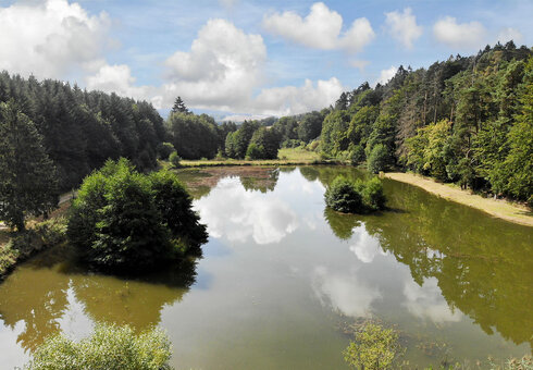 Angelteich in der Umgebung