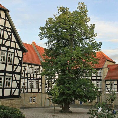 Kloster Volkenroda