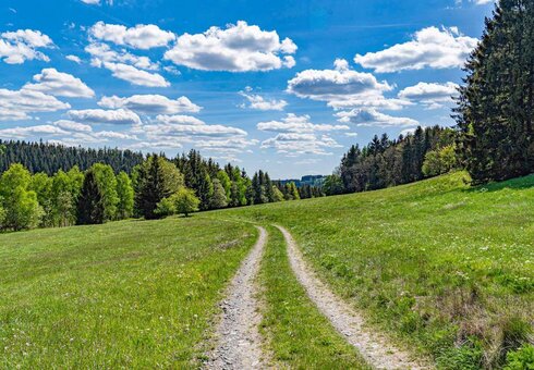 Natur pur
