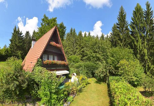 Finnhütte am Domberg, Suhl