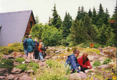 Rennsteiggarten Oberhof