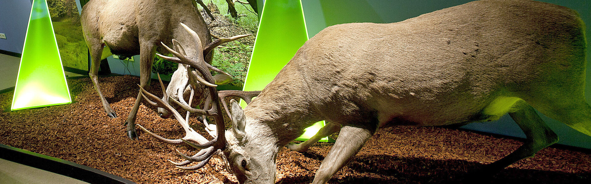 Haus der Natur © Foto: Ole B.