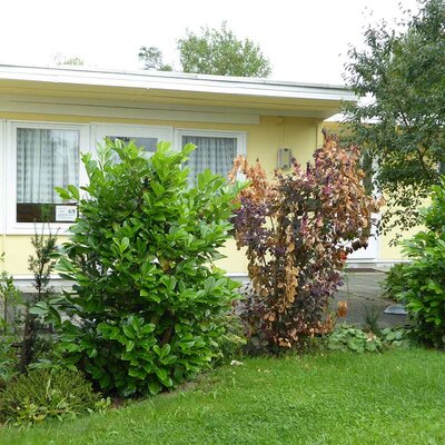 Bungalowdorf Zadelsdorf