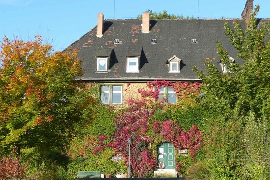 Stadtmuseum Camburg