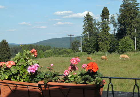 Blick von der Terrasse