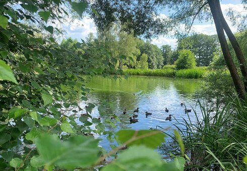 Kleiner See in der Umgebung