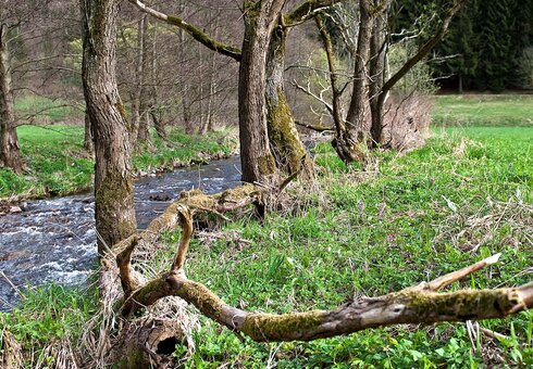 idyllische Naturlandschaft