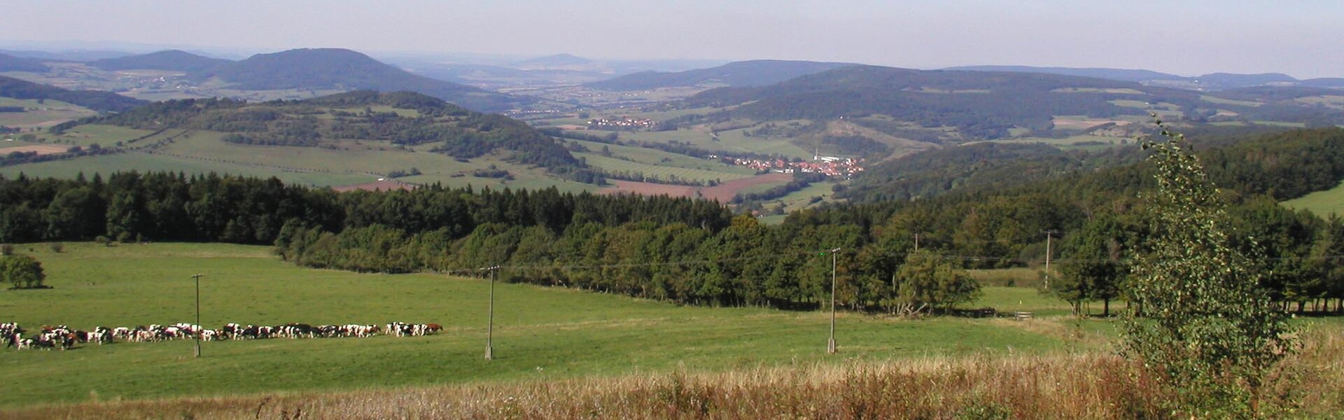 Blick vom Berg Ellenbogen - Rhön