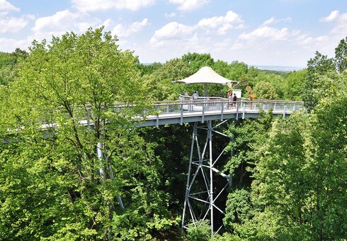 Baumkronenpfad im Nationalpark Hainich