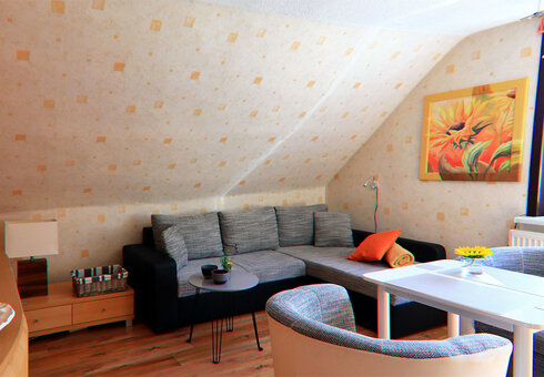Ferienwohnung Waschbär (Wohn-Küche)
