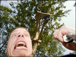 Kletterwald Koala