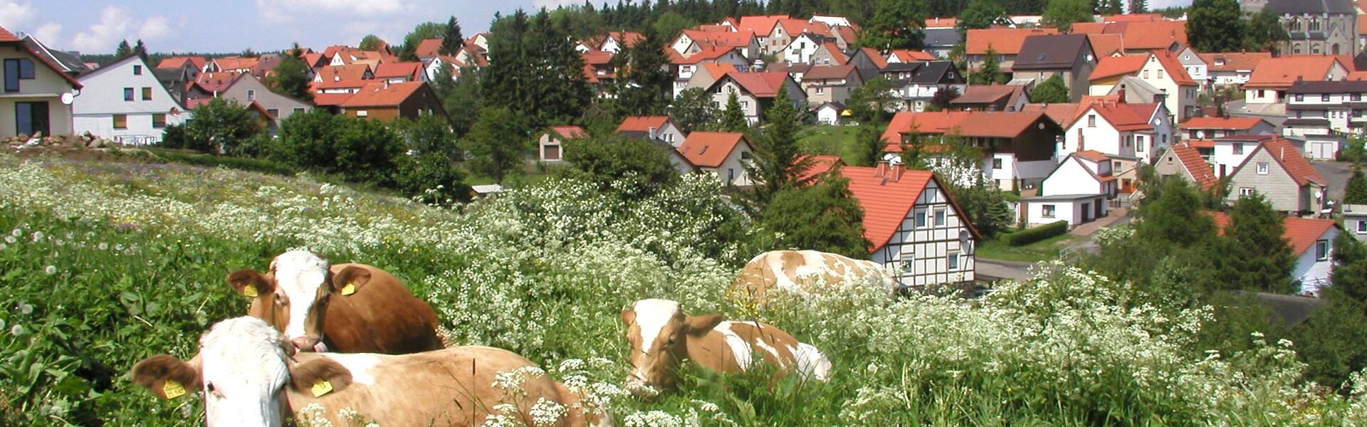Frankenheim in der Rhön