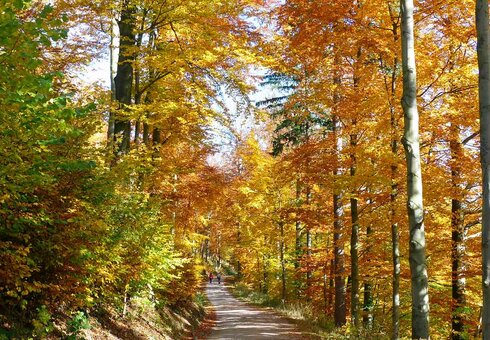 Wandern im Herbst