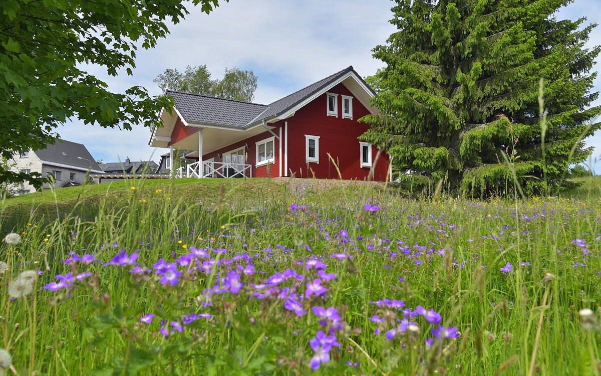 Ferienhaus-Lina-Siegmundsburg-Panorama
