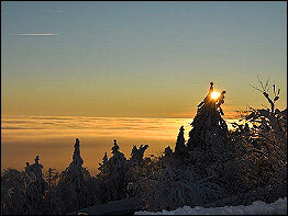 Winterimpressionen