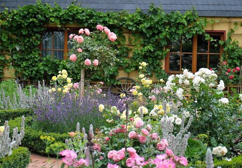 Blumenpracht im Innenhof