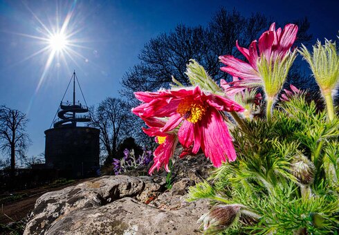 egapark Erfurt