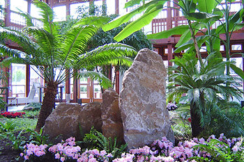 Pflanzpavillon