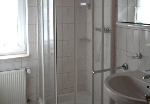 Blick in die Dusche/WC