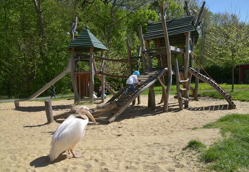 Spielplatz im Tierpark Gotha