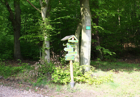 Wanderwege in der Umgebung