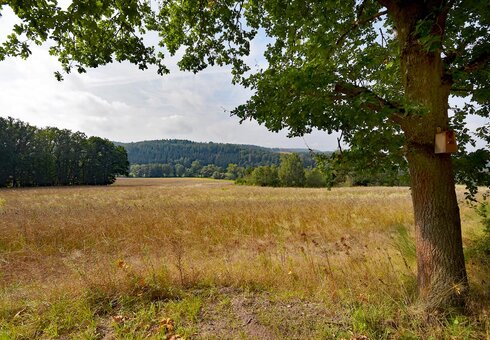 Landschaft am Ferienhaus