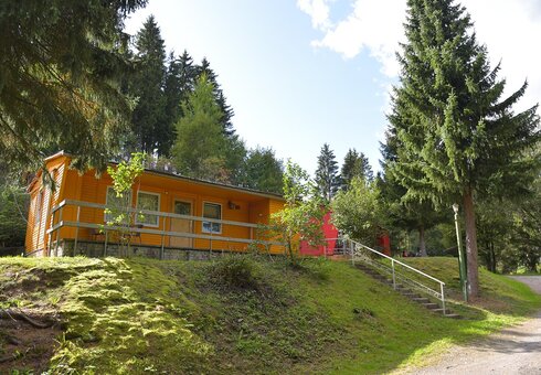 Bungalows auf dem Waldgelände