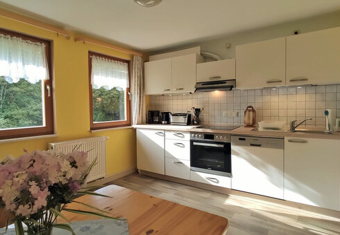 große Ferienwohnung (Wohnküche)