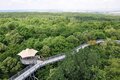 Baumkronenpfad im Nationalpark Hainich