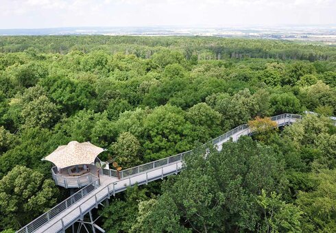 Baumkronenpfad im Nationalpark Hainich