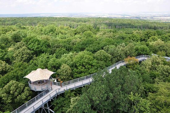 Baumkronenpfad im Nationalpark Hainich