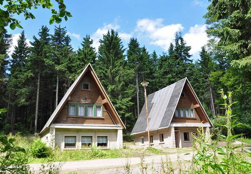 Ferienhäuser Ebertswiese im Sommer