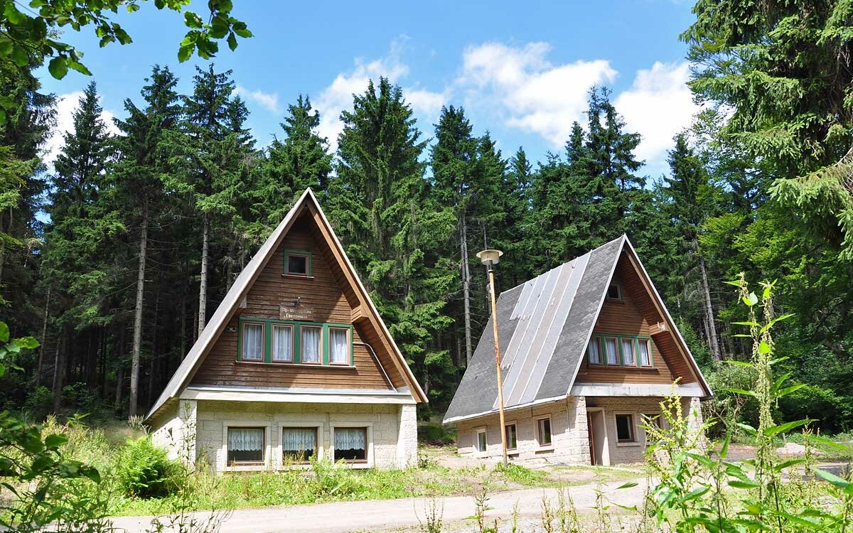 Ferienhaeuser-Ebertswiese-Floh-Seligenthal-Panorama