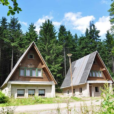 Ferienhäuser Ebertswiese im Sommer