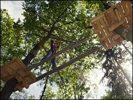 Kletterwald Koala