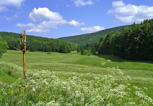Landschaftsimpression aus dem Vessertal